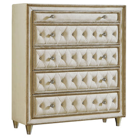 Antonella 5-drawer Upholstered Chest Ivory and Camel