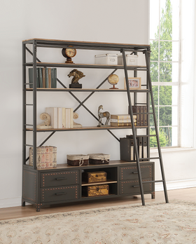 Actaki Sandy Gray Bookshelf & Ladder