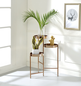 Namid Gold Plant Stand