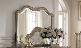 Acme Chelmsford Landscape Mirror in Antique Taupe 26054