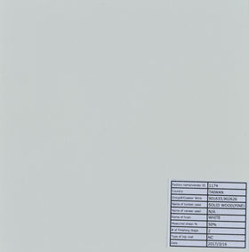 Roberto 4-panel Folding Screen White